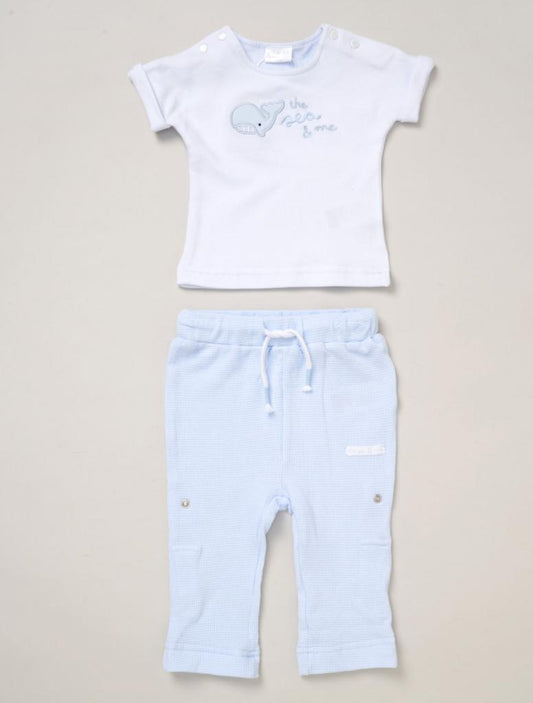 Whale Waffle Trouser/Short Set